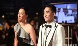 天涯爆料梁朝伟刘嘉玲视频,娱乐圈的惊人真相