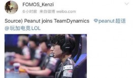 沈猛爆料小佬视频大全,小佬视频大全背后的惊人真相